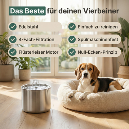 Pfotenquell Trinkbrunnen