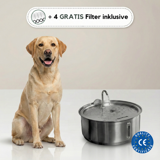 Pfotenquell Trinkbrunnen