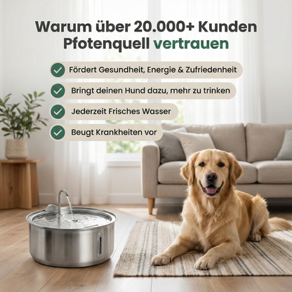 Pfotenquell Trinkbrunnen