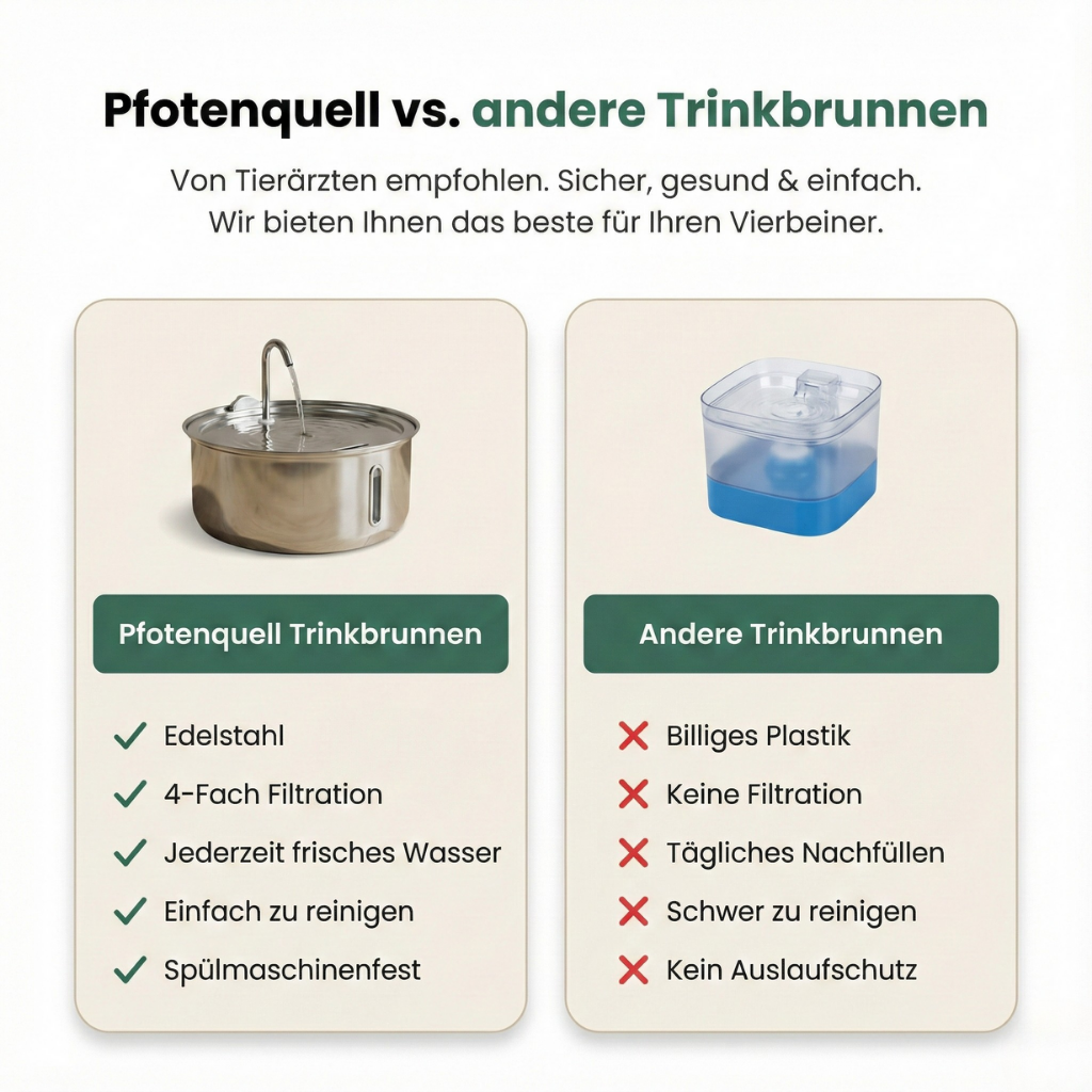 Pfotenquell Trinkbrunnen